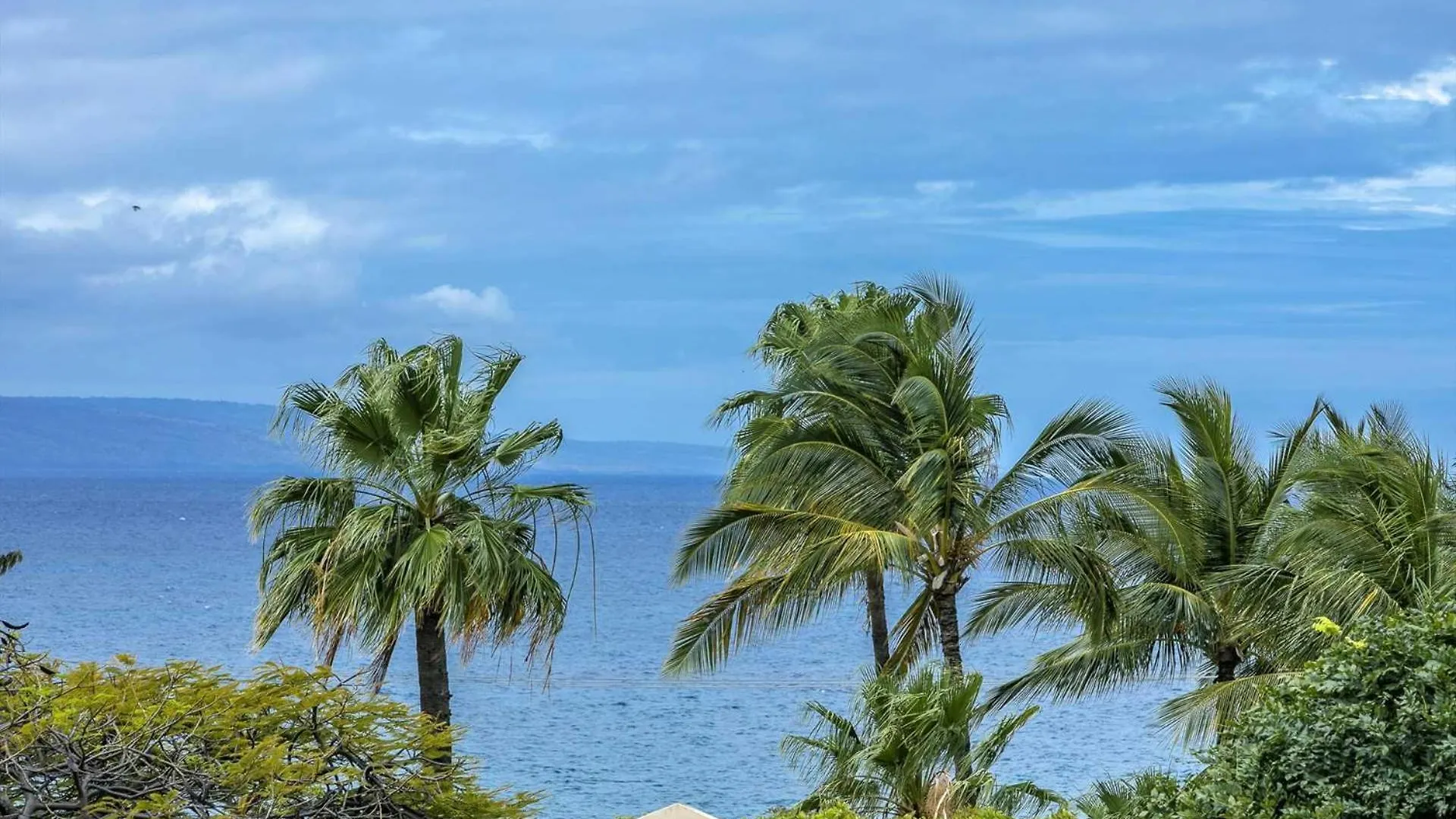 Kihei Akahi Resort - Unit C405 维雷亚 0*,  美国